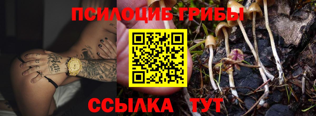 Галлюциногенные грибы MAGIC MUSHROOMS Сланцы